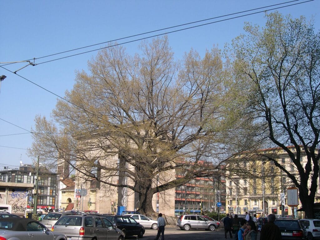 Valmozzola - Valmozzola
